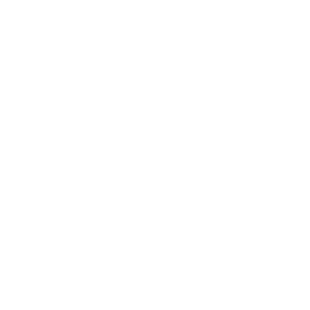 FR Logo weiß